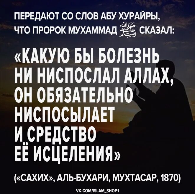 Есть слово пророка. Абу Хурайра хадисы. Достоверные хадисы Аль Бухари. Слова Абу Хурайры. Хадисы про болезнь.