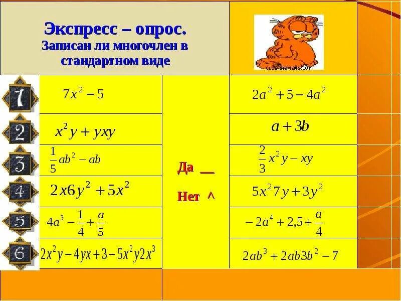 Запиши в виде многочленов произведения. Многочлен и его стандартный вид. Записать многочлен в стандартном виде. Многочлен у человека.