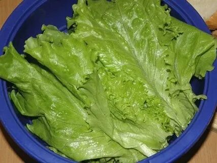 Какие листья в цезаре