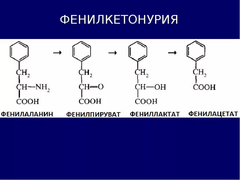 Гидролиз фенилацетата. Фенилпируват, фениллактат, фенилацетат. Фенилаланин в фениллактат. Фенилаланин в фенилпируват.