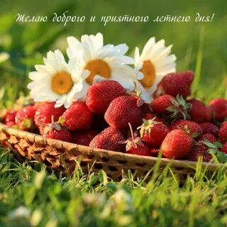 Приятную летнюю