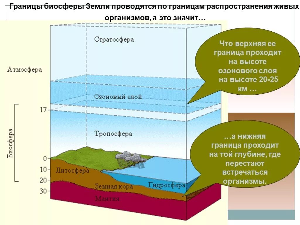 Атмосфера возникла позже биосферы. Биосфера границы биосферы среды. Границы биосферы 5 класс биология. Верхняя и нижняя граница биосферы. Границы биосферы 9 класс биология.