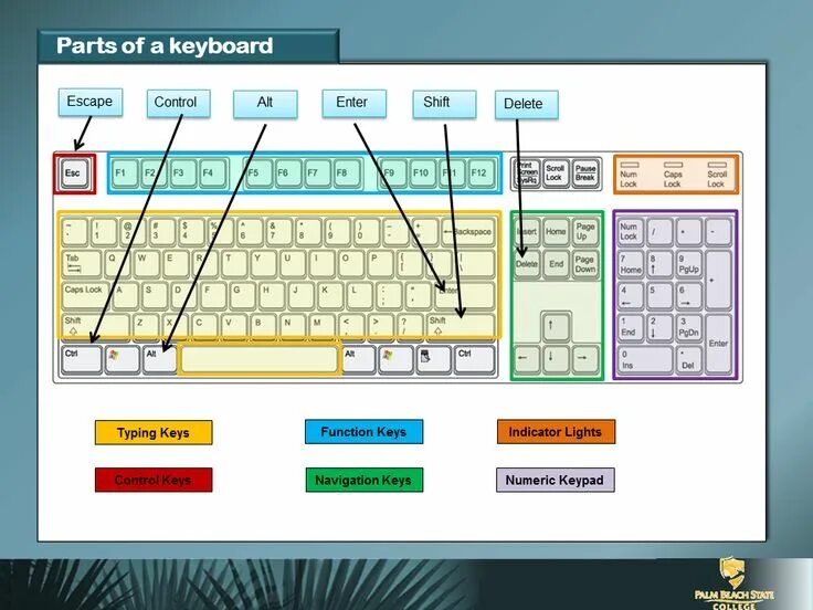 Navigation key. Function keys на клавиатуре. keyboard parts. numeric на клавиатуре. эскейп на клавиатуре.