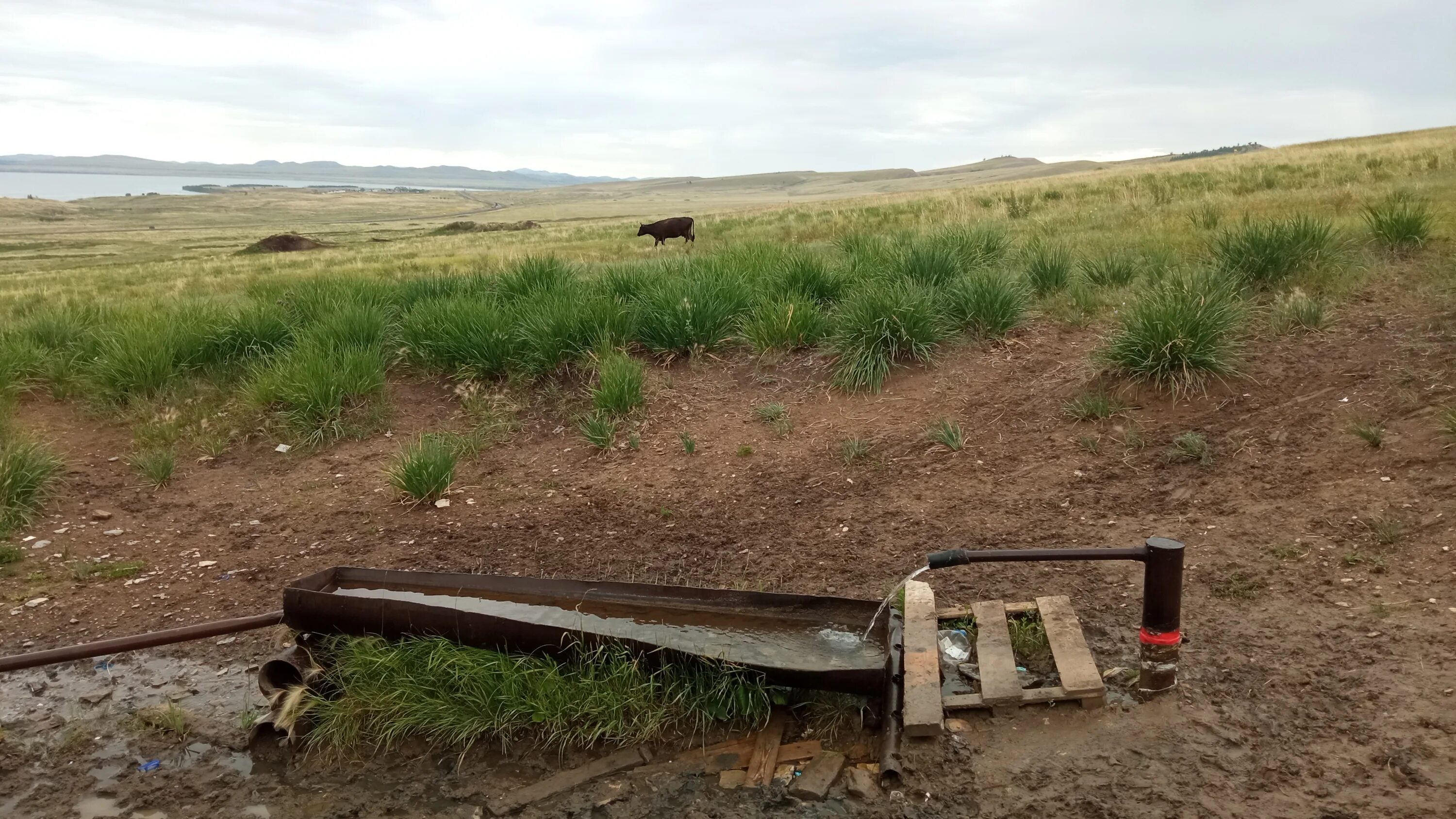 поселок колодезный хакасия. жемчужное колодезное хакасия. колодезный хакасия. колодезный. жемчужный (хакасия)турбазы.