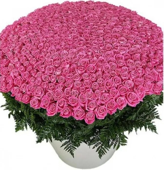 С днем рождения огромные розы. Красивые большие букеты. Большие букеты цветов. Огромный букет. Букет роз.