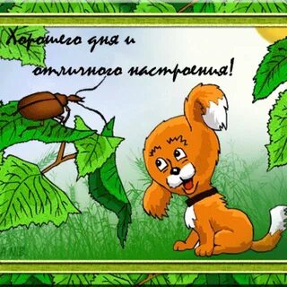 Доброго дня смешные и прикольные ржачные картинки