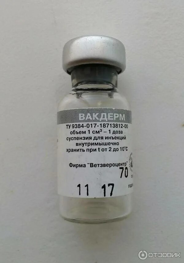 Вакдерм для кошек. Вакдерм (флак) (10 доз/уп.). вакцина вакдерм для собак. вакдерм для животных в уколах. вакдерм вакцина для котят.
