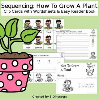 How plants grow