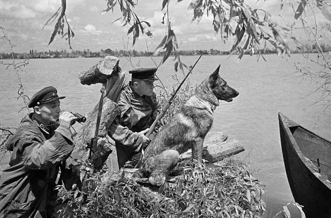 20 июня 1941. Советские пограничники 1941. Первый бой пограничников 1941. Пограничная застава 1941.