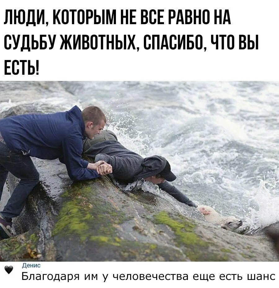 Люди спасают людей истории. Мужественный поступок человека. человек спасает другого человека. героические поступки людей. добрые поступки людей в россии.