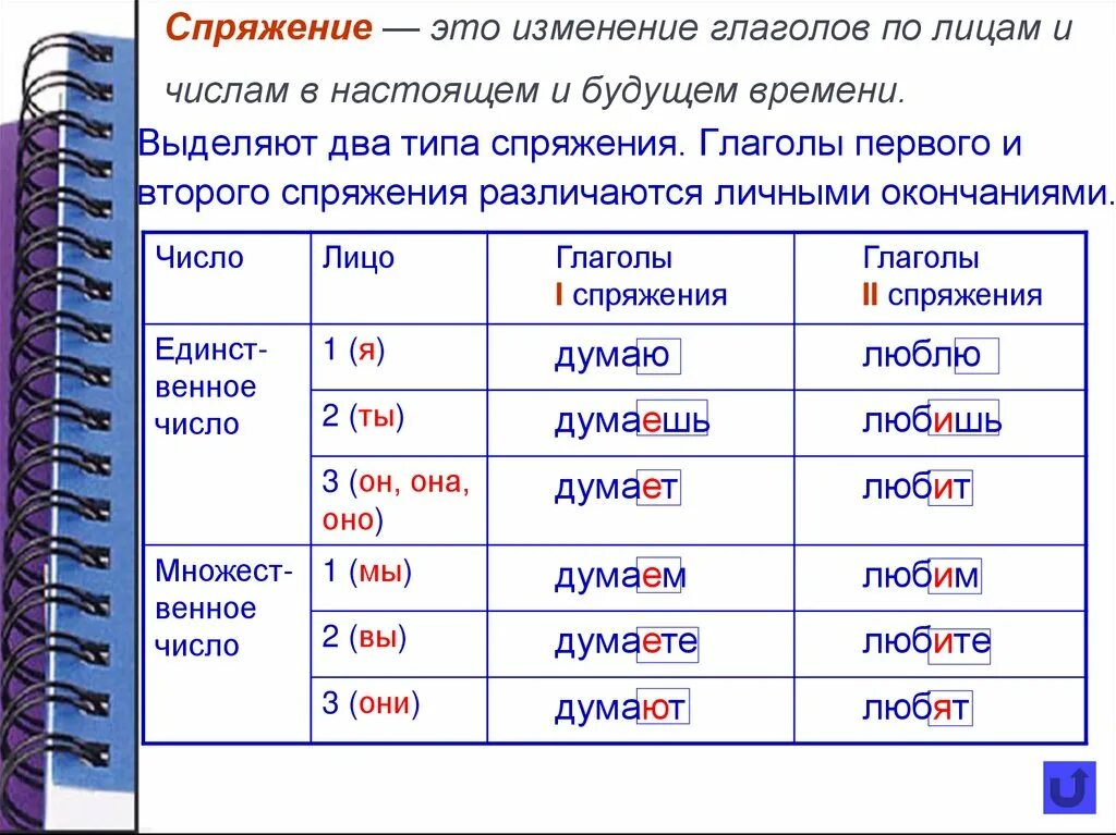 1 И 2 спряжение глаголов настоящего времени. Спряжение это изменение глагола по лицам и числам. Спряжение глаголов по лицам и числам. Как изменить спряжение глаголов.