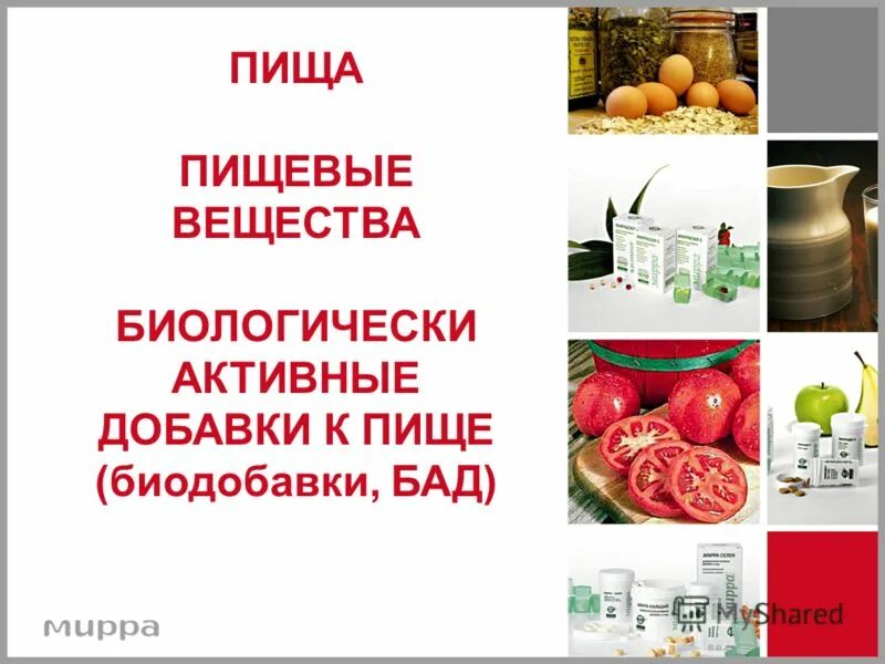 5 питательных веществ. роль питательных веществ в организме человека. 5 питательных веществ. переваривание и всасывание белков в жкт. норма рационального питания школьника таблица.
