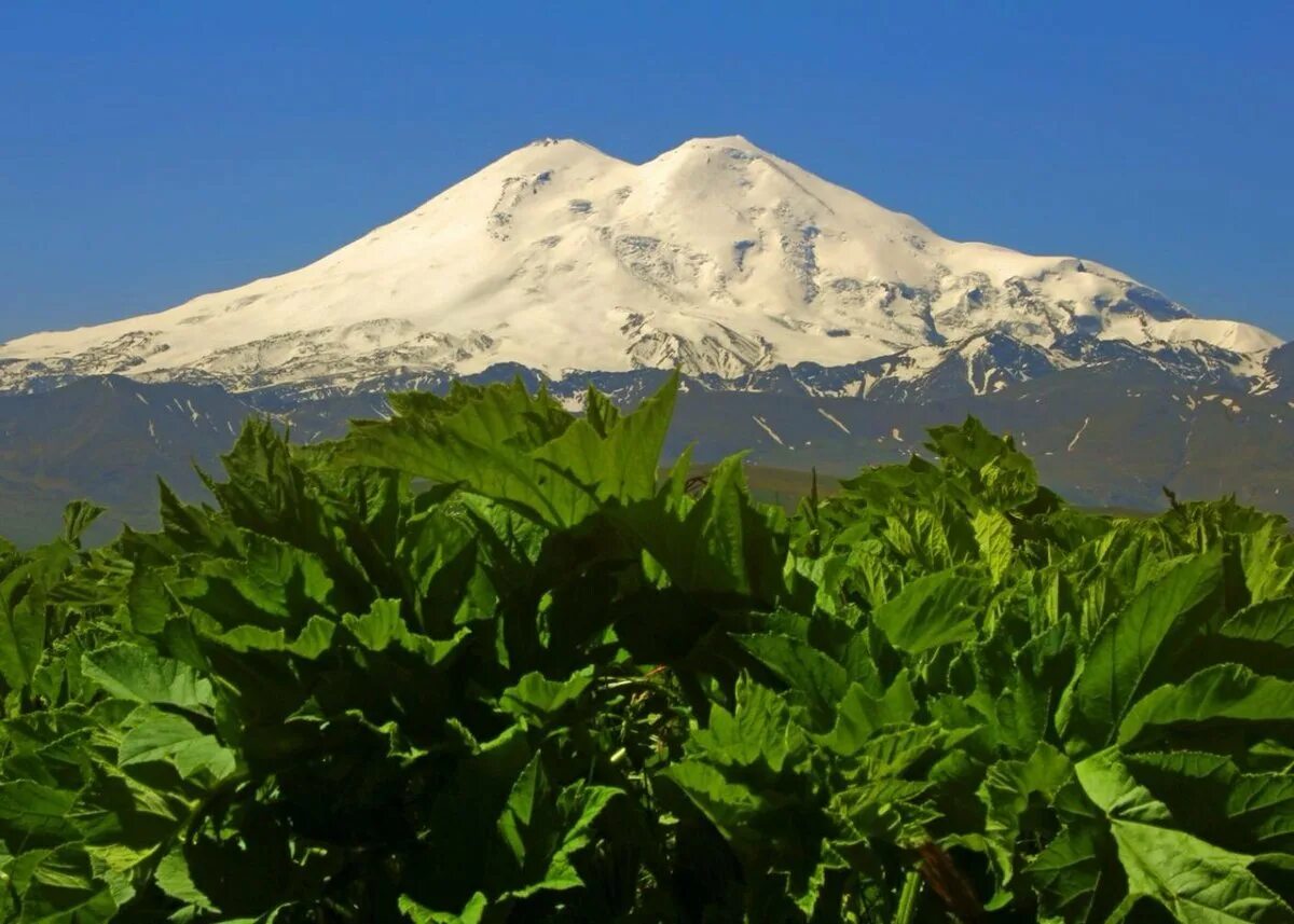 Х эльбрус. Гора эльбрус (кабардино-балкария, карачаево-черкесия). горы кавказа эльбрус. пик эльбрус в карачаево-черкесии, кабардино-балкария. горы кчр эльбрус.