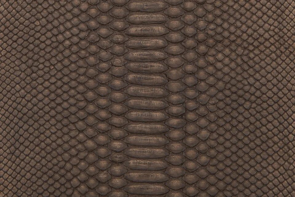 Python leather
