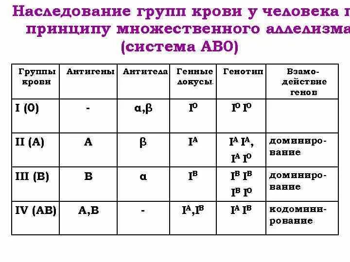 Группы крови человека наследуются. Механизмы наследования групп крови системы АВО. Генетические механизмы наследования групп крови систем ab0 rh. Таблица наследование групп крови системы АВО. Таблица наследования резус фактора крови.