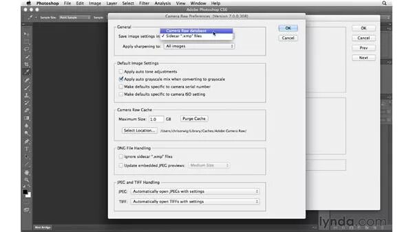 Install raw. Preferences в фотошопе. camera raw установки. настройки для camera raw. установки camera raw настройки.