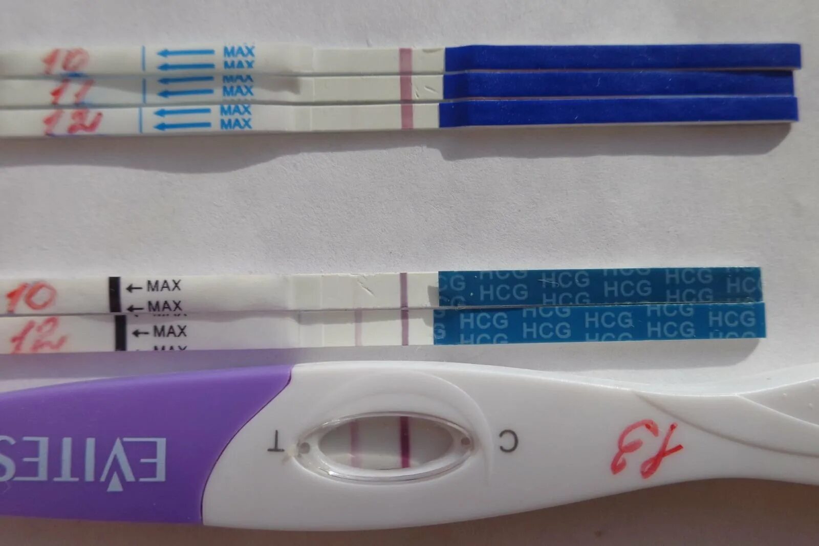 Эвитест 2 полоски. Эвитест плюс тест на беременность №2. Тест на деременности Evi. Ложноположительный результат беременности