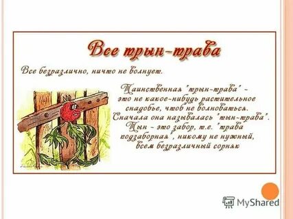 Крылатое выражение рыльце у тебя в пуху