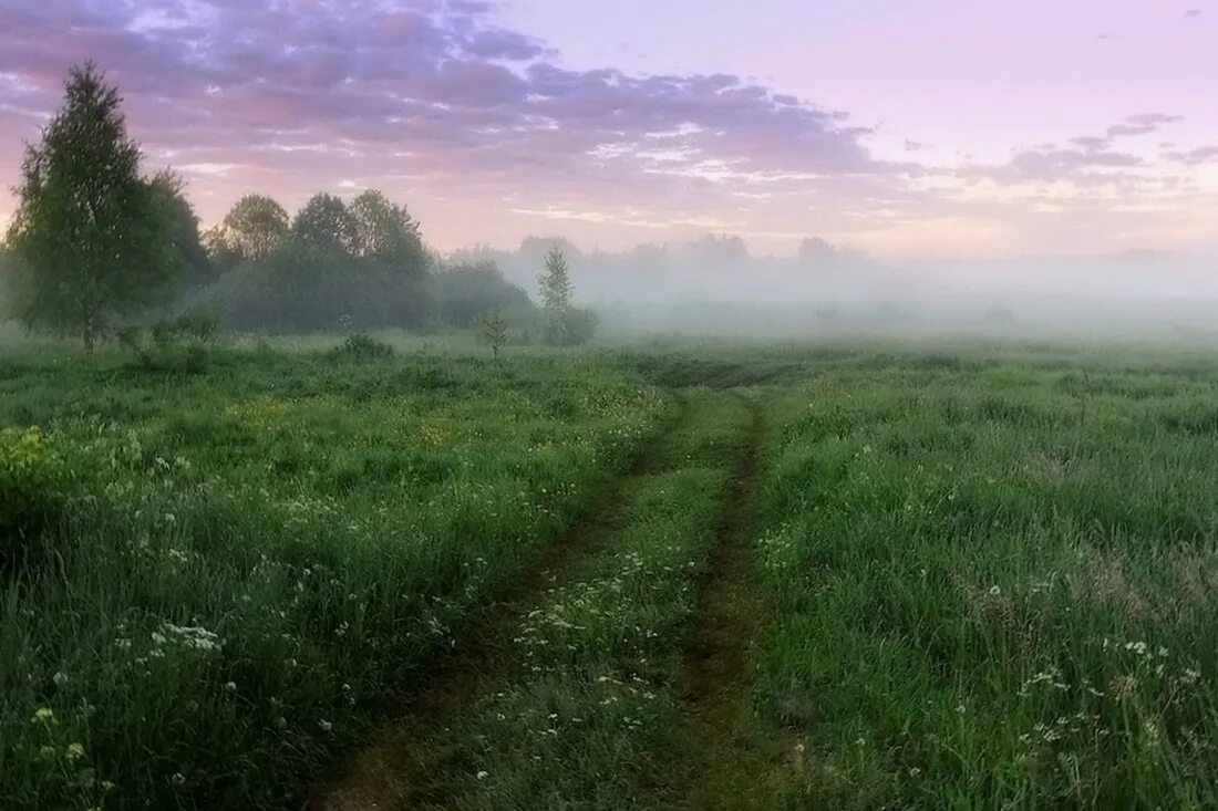Стелется 2. Туман стелется. dburn фотосайт.