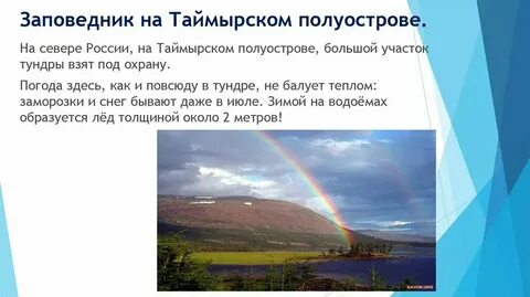 Тундровый заповедник расположен на полуострове