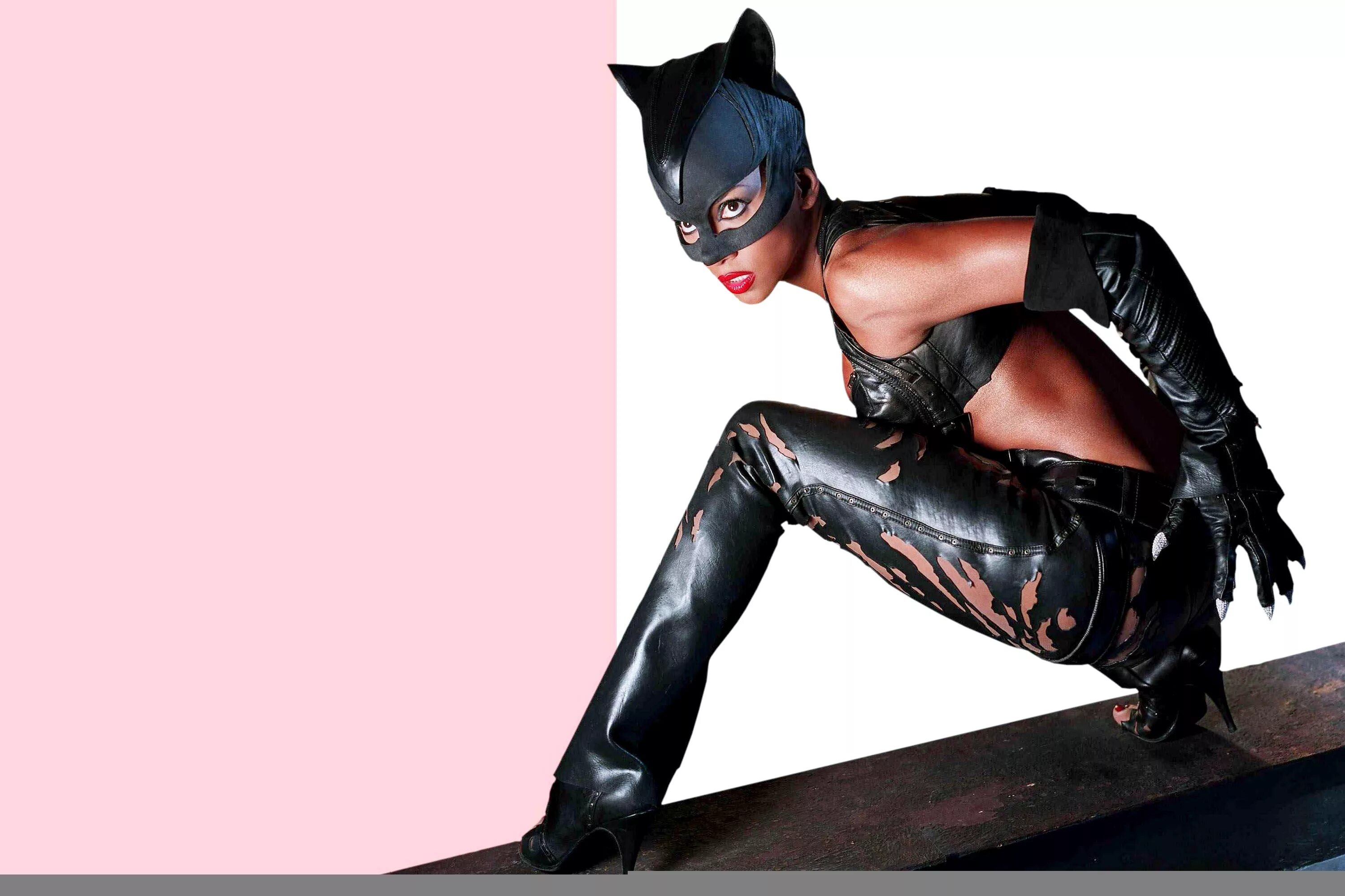 лучшая женщина кошка. Catwoman холли берри. лучшая женщина кошка. лучшая женщина кошка. холли берри женщина кошка.