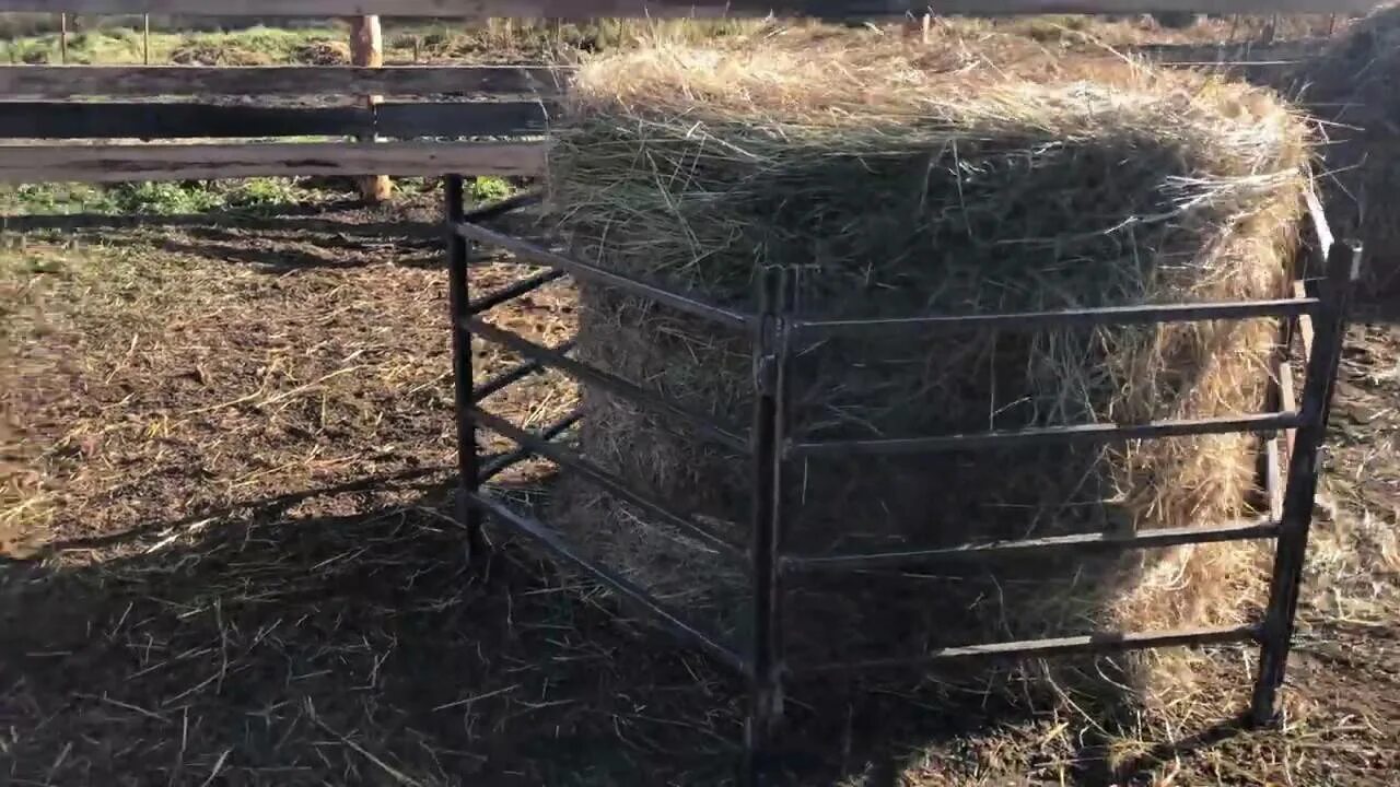 Ясли для овец. Как сделать кормушку под сено. Кормушка для овец для сена чертежи. Ширина кормушки для овец. Кормушки для козлов.