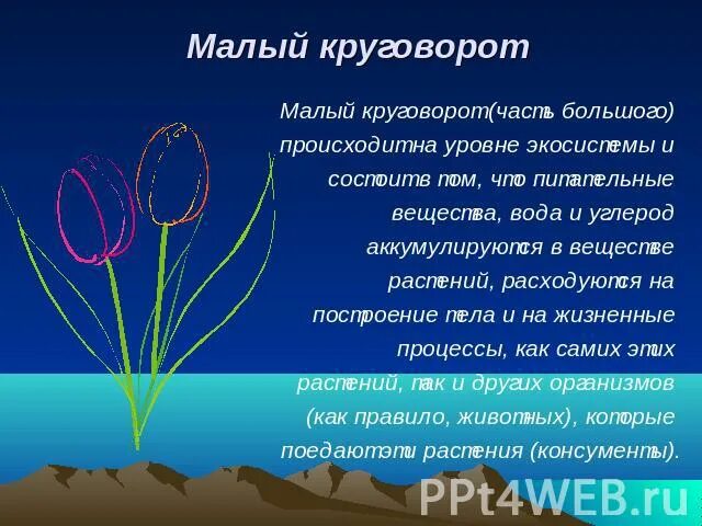 Малый круговорот. Малый биологический круговорот веществ в биосфере. Малый круговорот воды. Малый круговорот. Большой геологический и малый биологический круговорот веществ.