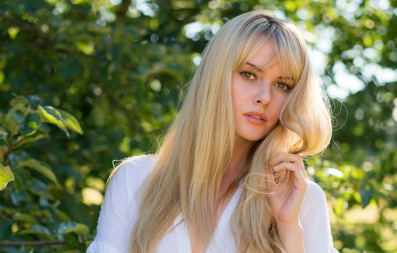 Blondie model