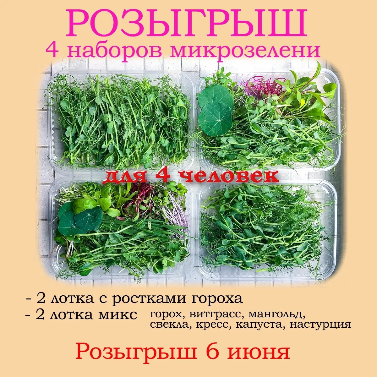 Какие витамины в микрозелени. Микрозелень листовка. буклет микрозелень. этикетки для микрозелени. буклет о микрозелени.