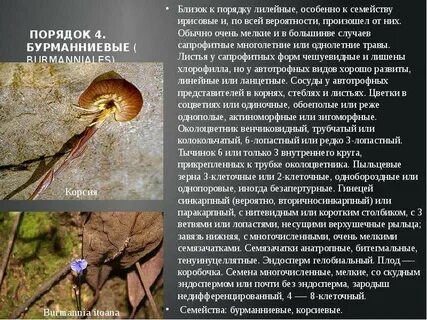 Вероятно произошел
