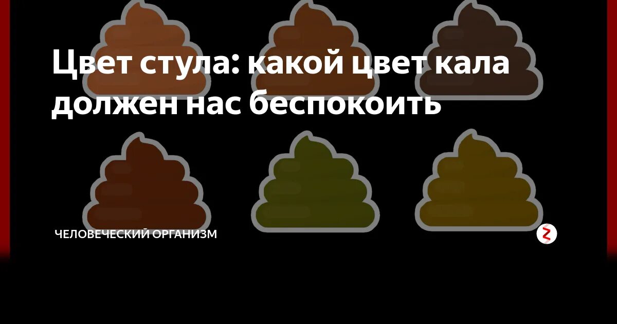 Цвет кала. Цвет кала у взрослого. Нормальный цвет кала.