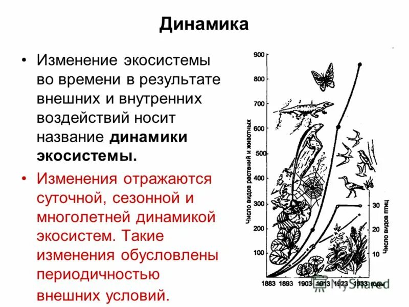 Выберите пример смены экосистемы. Многолетняя динамика экосистем. Динамичность экосистем. Суточная динамика экосистем. Циклическая динамика экосистем.