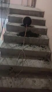 Стук из под земли