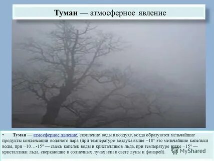 Учебная задача явления туман