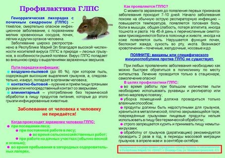 Прививка от грызунов