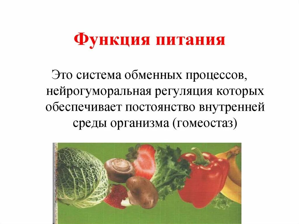 Функции питания. Основные функции питания. Основные жизненные функции питания.. Функции еды.