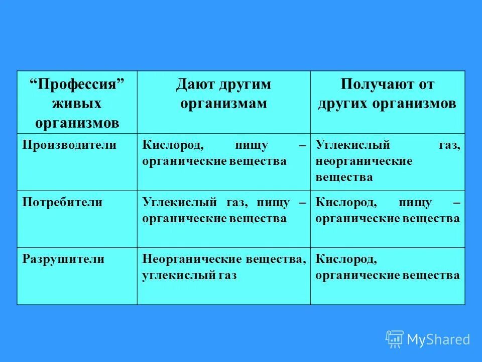 дает другим организмам. паразитизм это в биологии. спирохеты в почве. бактерии автотрофы и гетеротрофы. организмы относящиеся к царству растений.