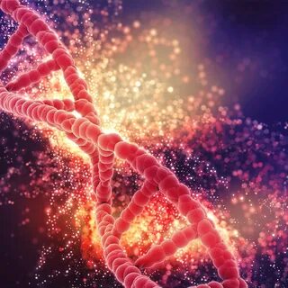 Dna