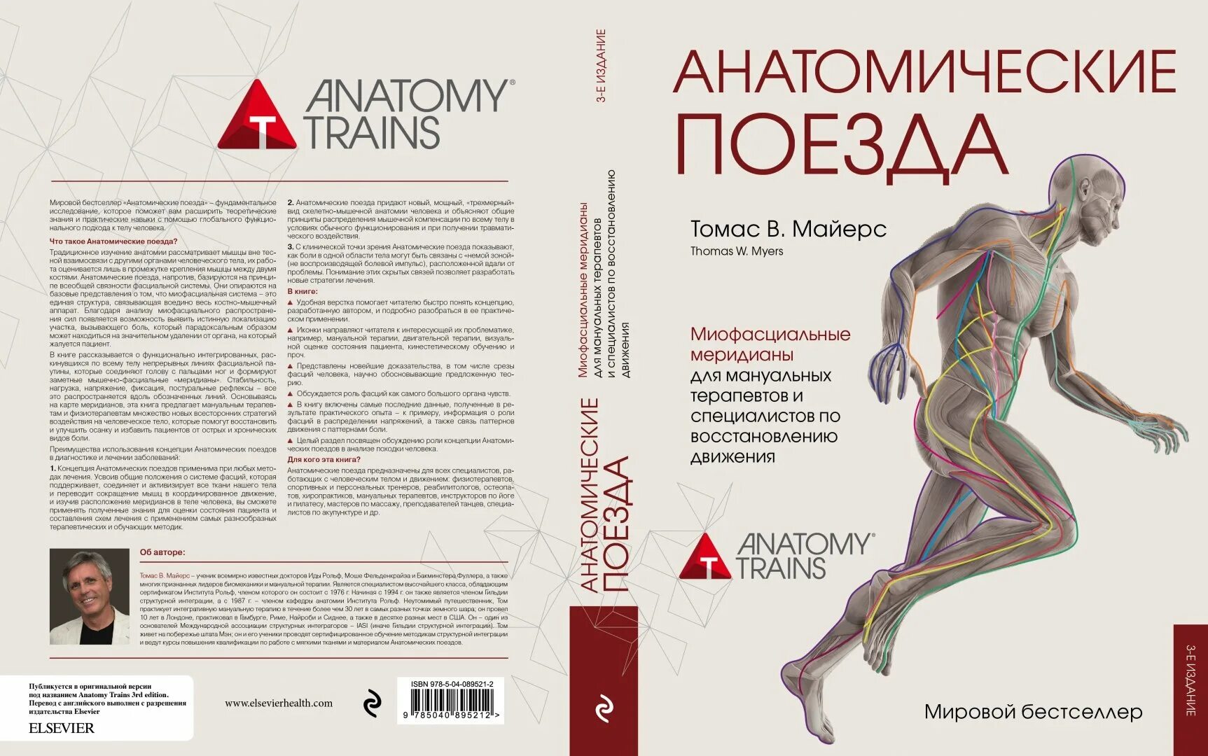 Книга анатомические поезда Томаса Майерса. Плакаты Томаса Майерса анатомические поезда.