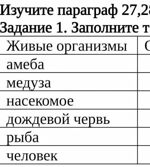 Задание 1. Заполните 