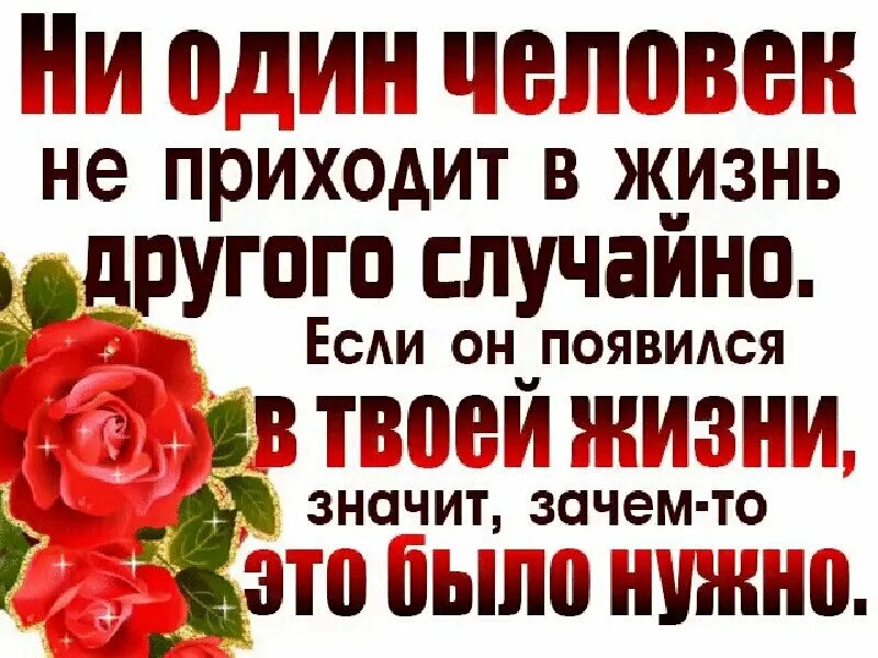 Спасибо всем людям которые пришли в мою жизнь. Ни один человек не приходит в жизнь другого случайно. Спасибо всем людям в моей жизни. Спасибо что пришел в мою жизнь. Мы приходим в эту жизнь одни