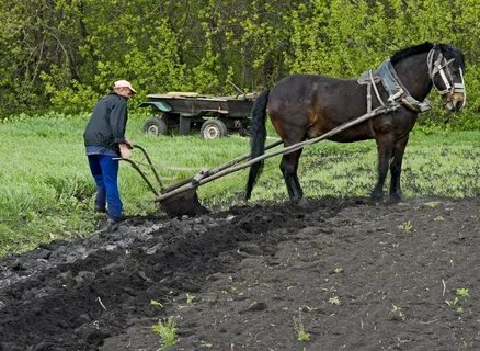 Плуг для лошади