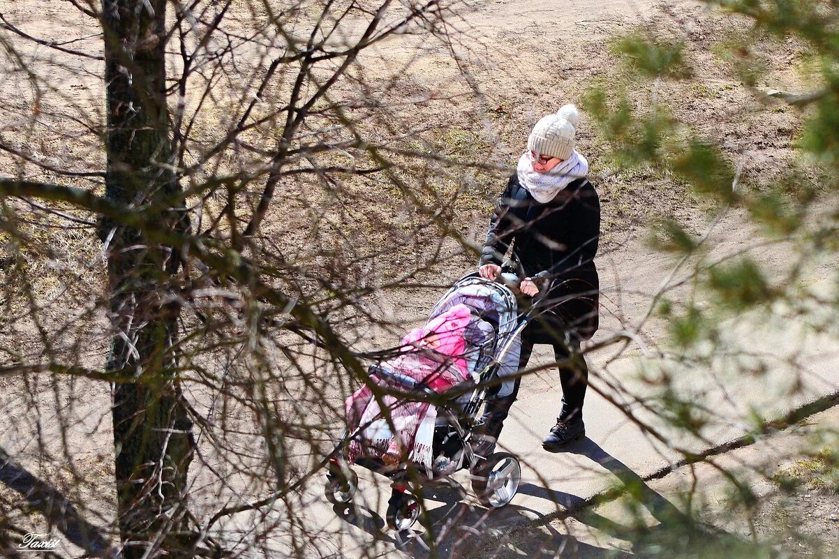 Акция весенняя прогулка движение. Весенняя прогулка. весенняя прогулка фоторассказ. весенняя прогулка фоторассказ о вашей прогулке. весенняя прогулка экскурсия 2 класс.