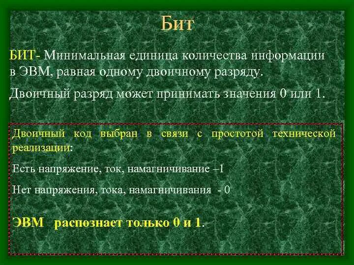 За минимальную единицу количества информации принят