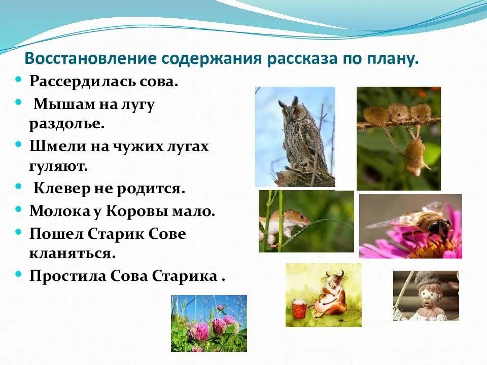 Сравнение которое встретилось в тексте сова бианки. Бианки в. &quot;сова&quot;. синквейн сова бианки. рассказ сова бианки. цепь питания сова бианки.