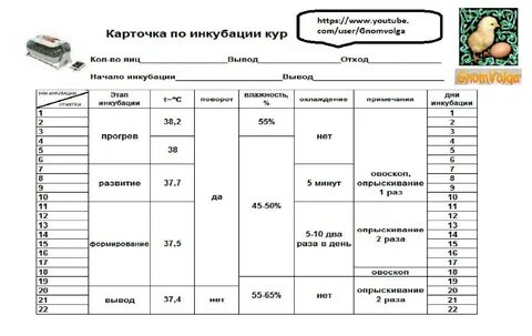 Инкубация куриных яиц условия.