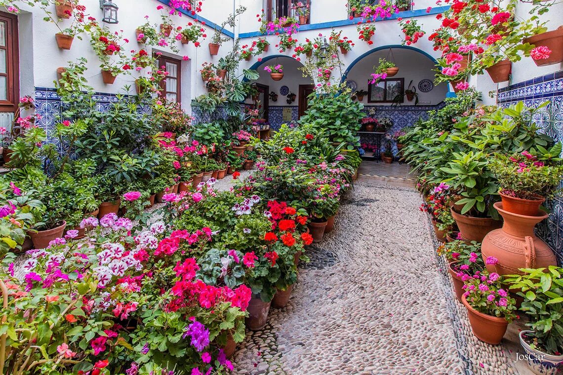 Фестиваль патио в кордове. Цветущие дворы. Испанский дворик патио. Бугенвиллия садовая. Двор в цветах.
