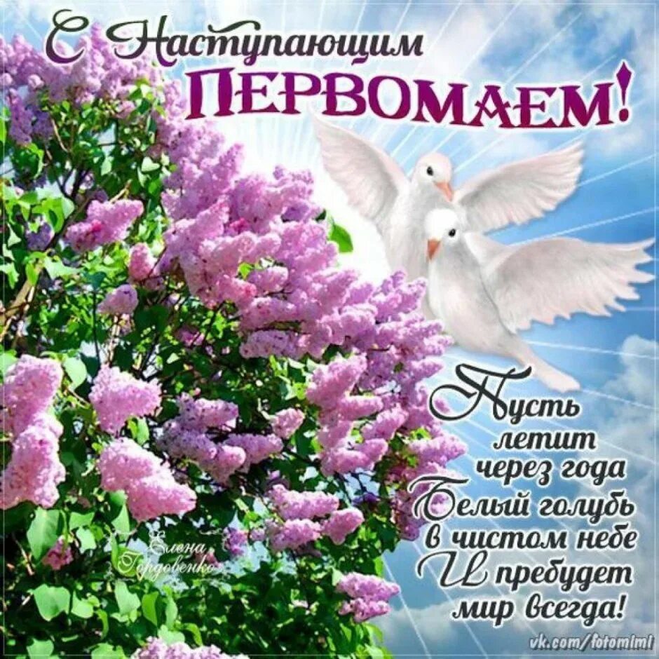 С праздником первомая красивые. Поздравление с 1 мая. открытки с первомаем. поздравления с первым мая. с праздником 1 мая поздравления.