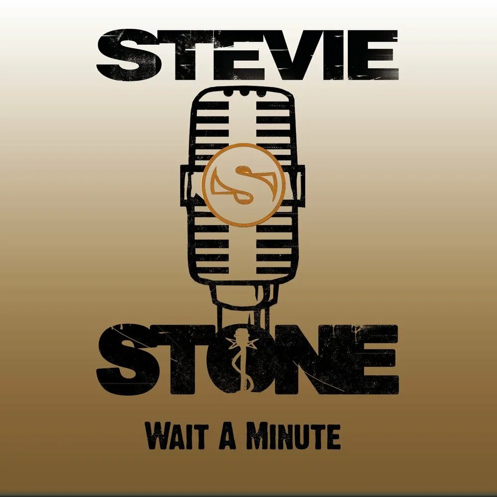 Stevie Stone. Stevie Stone обложки альбомов. Wait a minute обложка. Песня wait a minute.