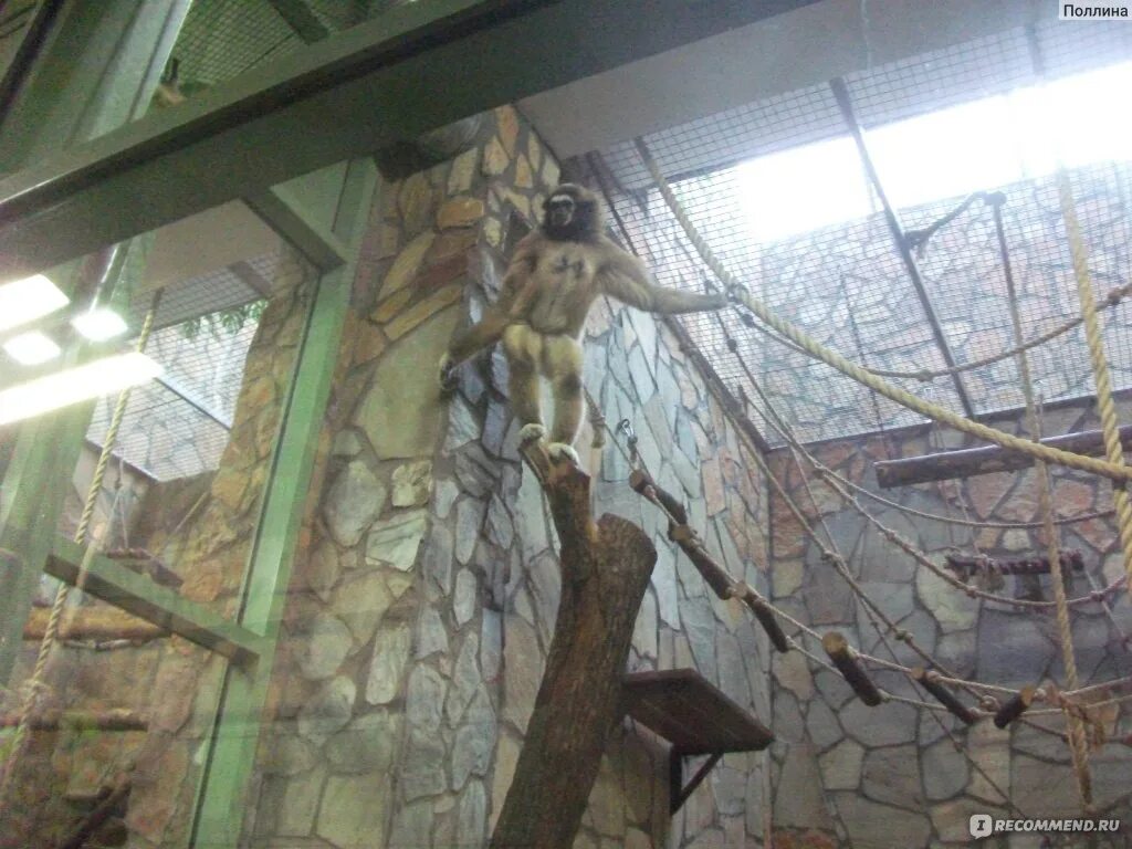 Зоопарк санкт-петербург ленинградский зоопарк. План зоопарка в санкт-петербурге. Ленинградский зоопарк станция метро. Ленинградский зоопарк на карте санкт-петербурга. Александровский парк 1 ленинградский зоопарк.